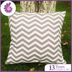 Chevron Cushion Covers